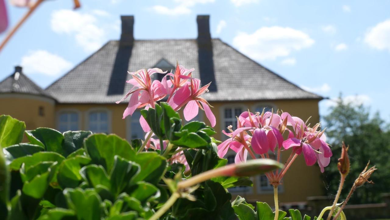 Hotel Schloss Diepenbrock Bocholt Eksteriør billede